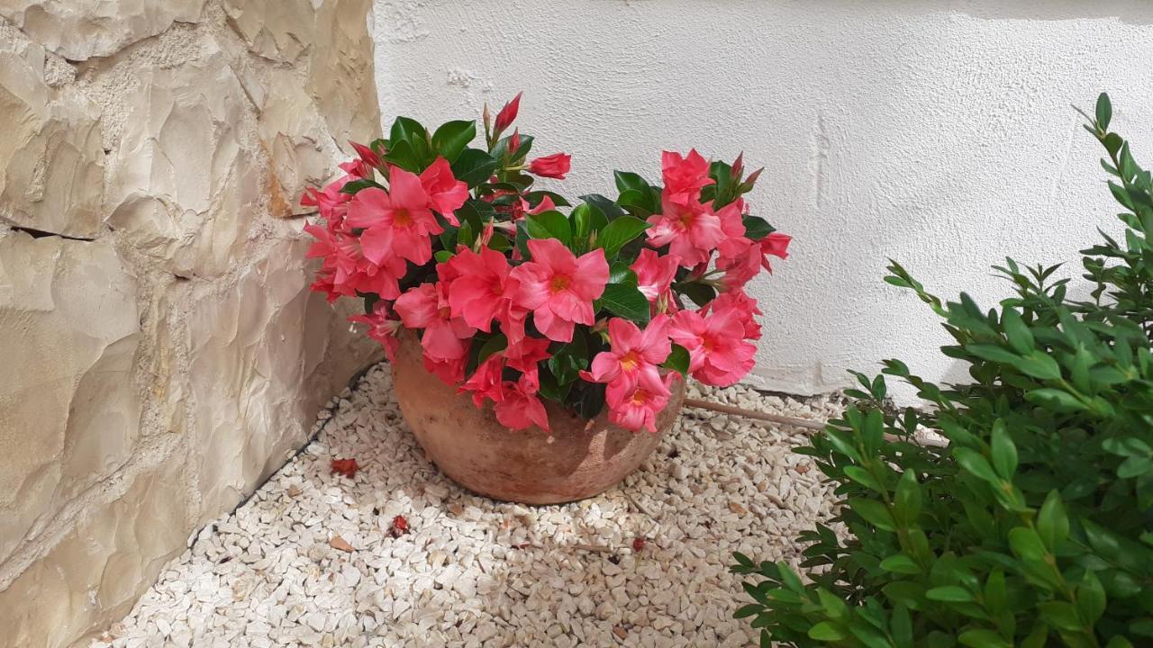 Apartman Nina Vodice Kültér fotó